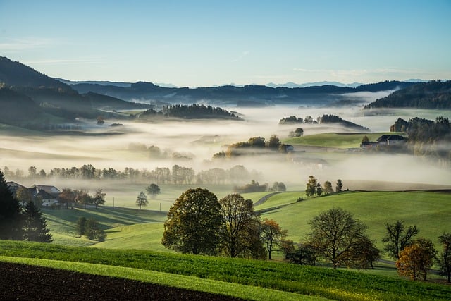 What is a cultural traveler ?